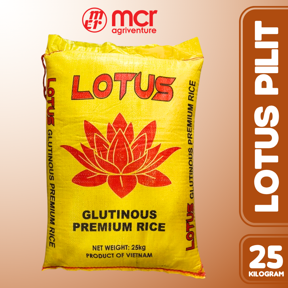 Pilit Lotus Yellow