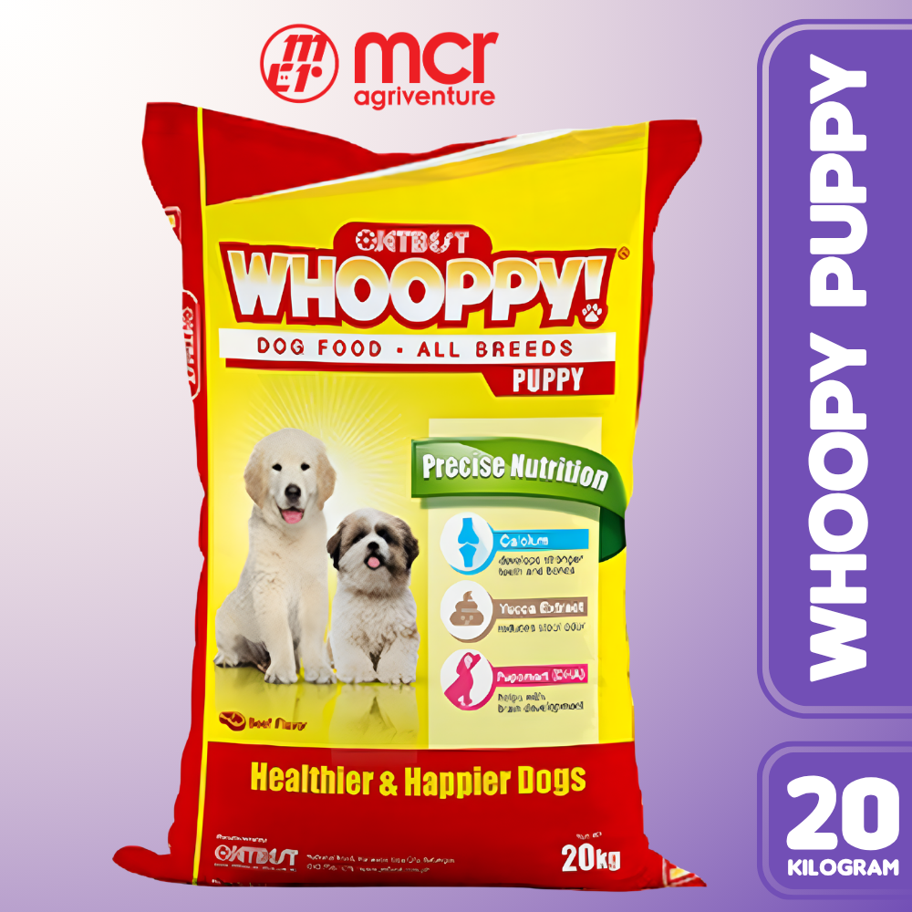 WHOOPPY PUPPY
