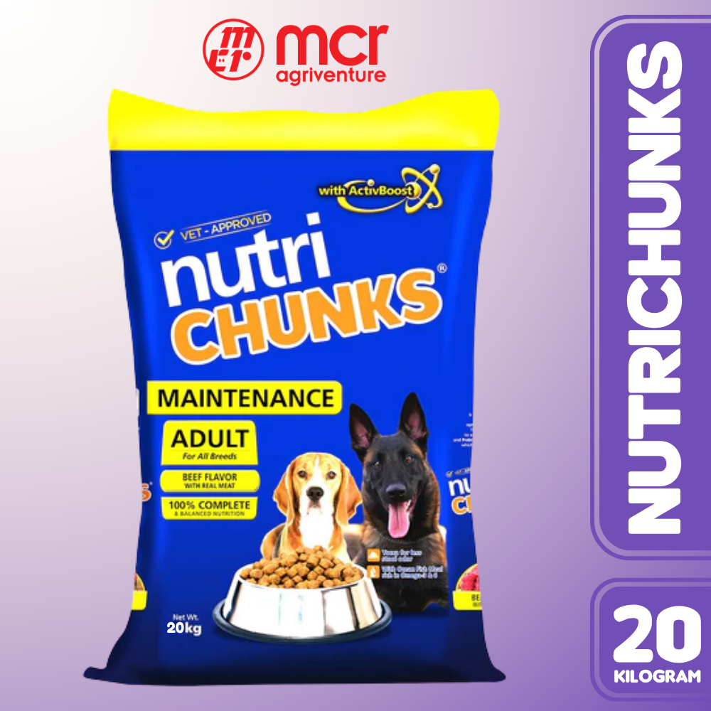 NUTRICHUNKS ADULT