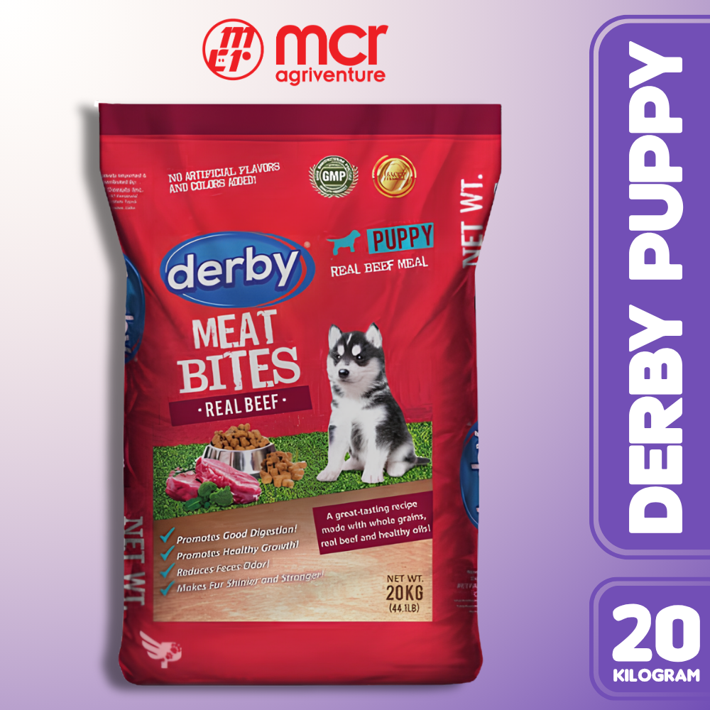 DERBY PUPPY