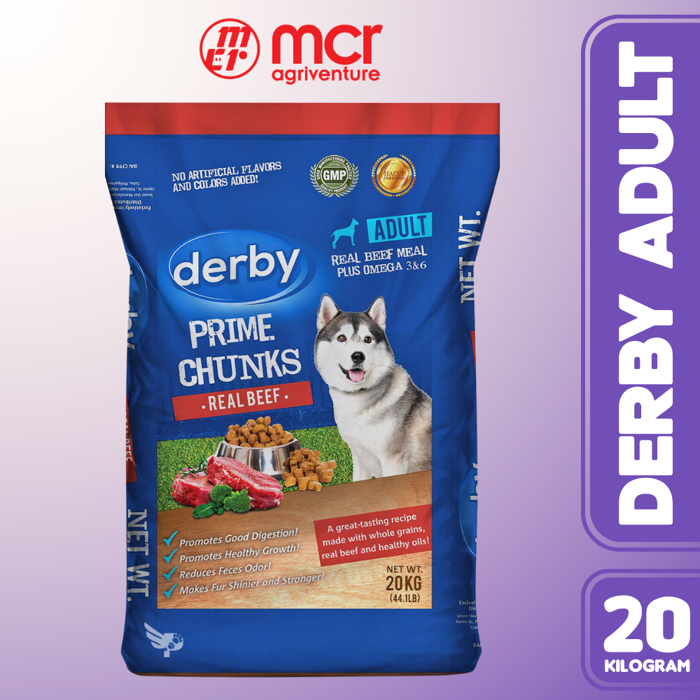 DERBY ADULT